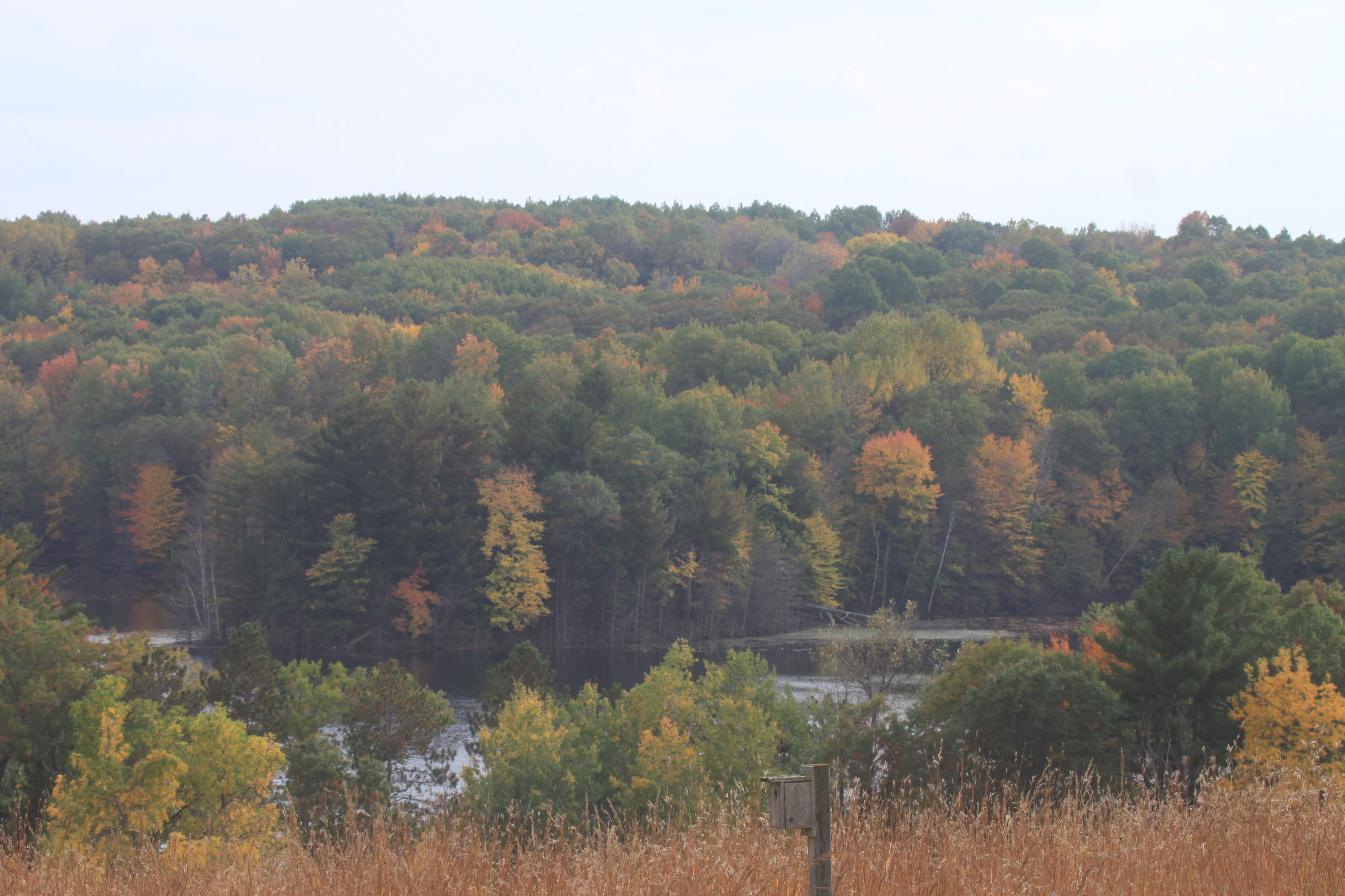 tall moraine ridge covered with trees