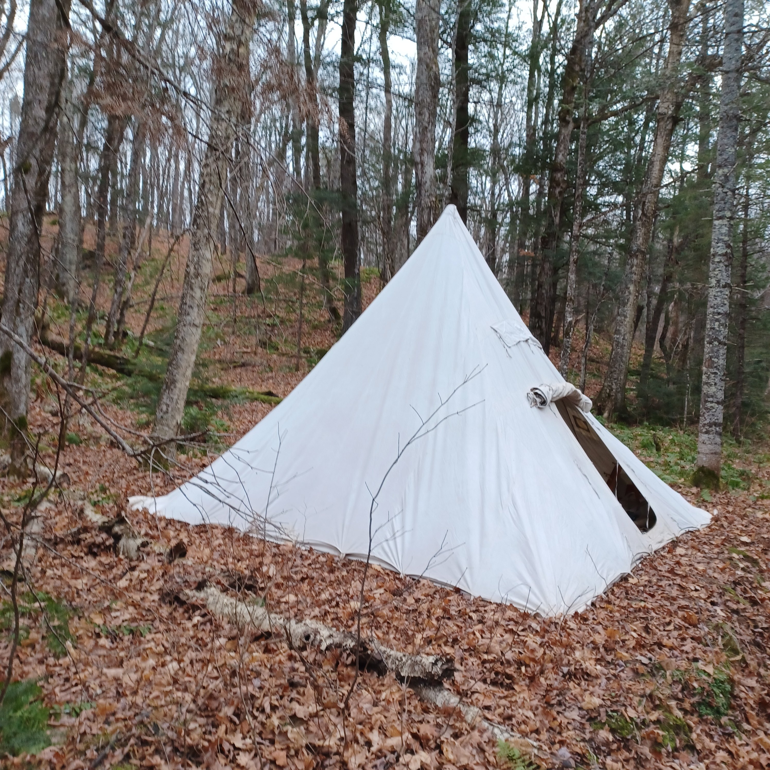 brown winter landscape with white canvass tent