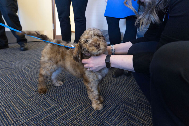 Officer Harvey Gets Attention