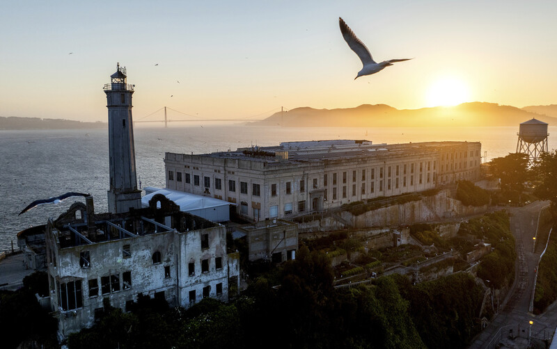 A bird flies above Alcatraz Island on Sunday, May 4, 2025, in the San Francisco Bay, Calif. (AP Photo/Noah Berger)
