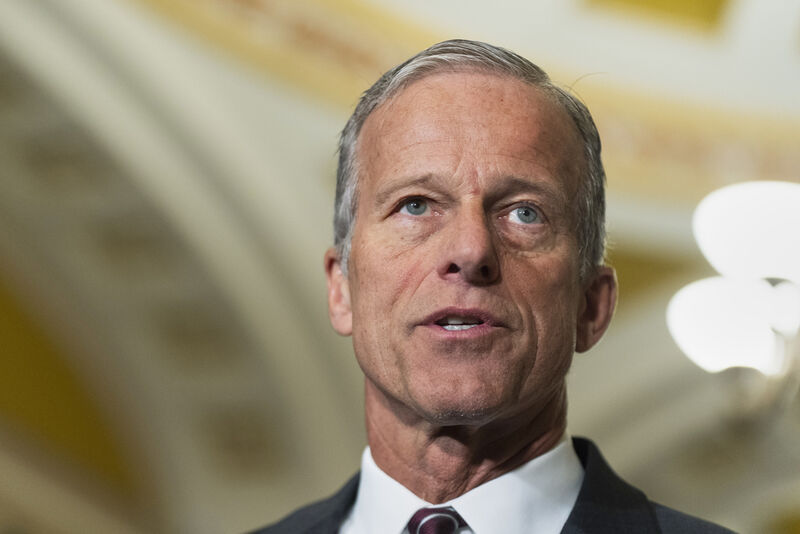 Senate Majority Leader John Thune, R-S.D., speaks to reporters at the Capitol, Tuesday, May 20, 2025, in Washington. (AP Photo/Manuel Balce Ceneta)