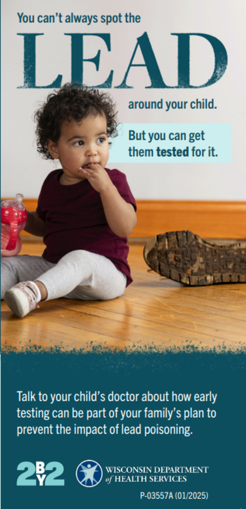 Lead Testing Poster