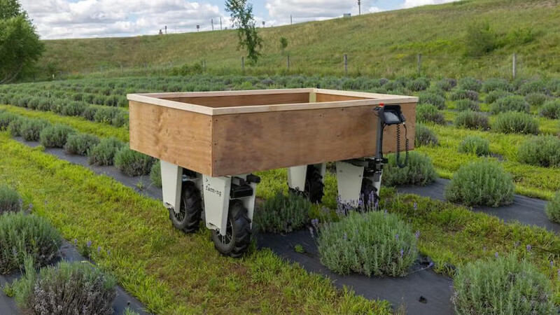 The Amiga robot, by Farm-ng, at Pondview Lavender Farm in Chippewa Falls