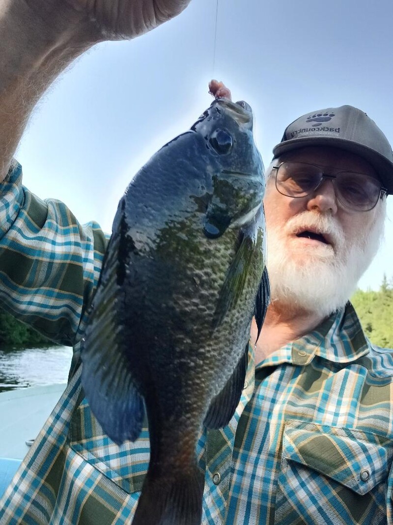 author with bluegill