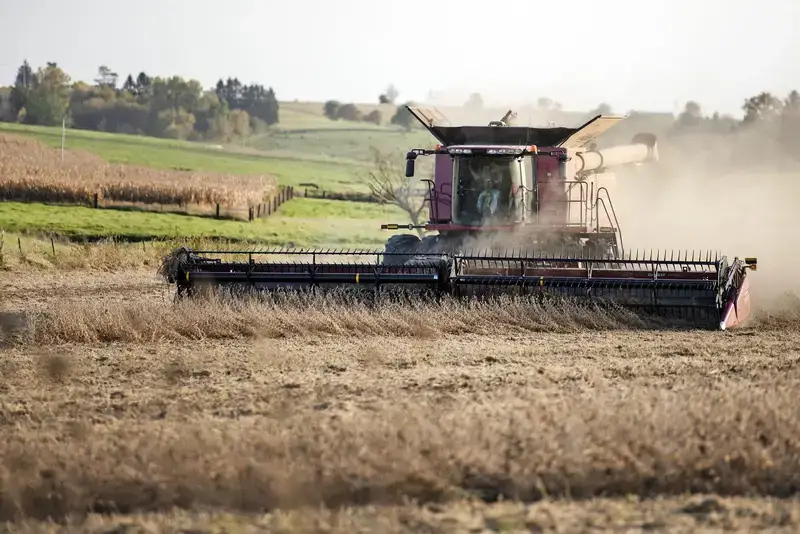 A farmer uses a combine to harvest soybeans Thursday, Oct. 8, 2020, near Lancaster, Wis. Angela Major/WPR