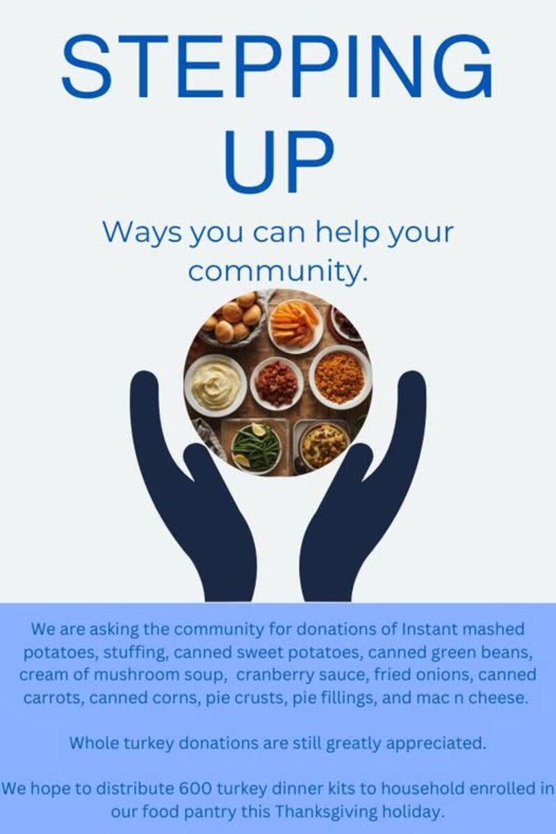 Stepping  Stones contribution graphic