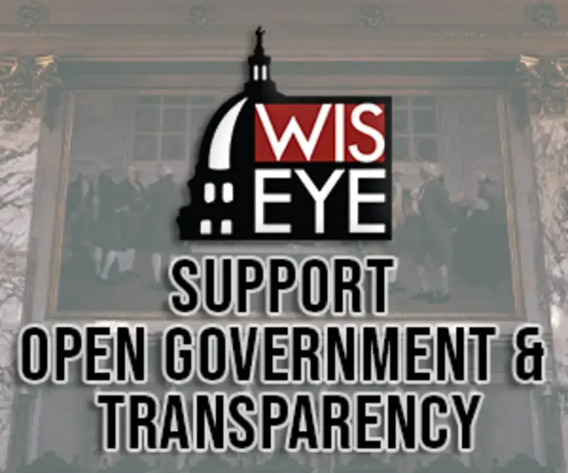Wiseye Logo