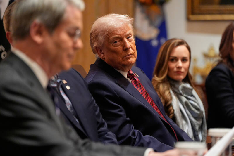 President Donald Trump speaks during a roundtable on farm subsidies in the Cabinet Room of the White House, Monday, Dec. 8, 2025, in Washington. (AP Photo/Alex Brandon)