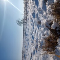 snow covered prairie with sun and blue sky