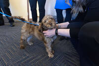 Officer Harvey Gets Attention