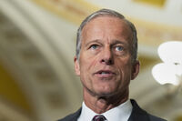 Senate Majority Leader John Thune, R-S.D., speaks to reporters at the Capitol, Tuesday, May 20, 2025, in Washington. (AP Photo/Manuel Balce Ceneta)