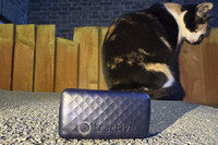 A Tractive GPS pet tracking device is seen while a cat sits in the background in London, Thursday, May 29, 2025. (AP Photo/Kelvin Chan)