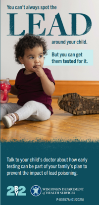 Lead Testing Poster