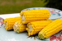 Image of sweet corn