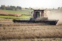 A farmer uses a combine to harvest soybeans Thursday, Oct. 8, 2020, near Lancaster, Wis. Angela Major/WPR