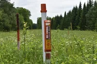 A post marks where Enbridge’s Line 5 crosses the reservation of the Bad River Band of Lake Superior Chippewa on Friday, June 24, 2022. The Canadian energy firm is proposing to reroute Line 5 for 41 miles around the tribe’s reservation. Danielle Kaeding/WPR