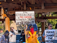 Chicken costume with sign