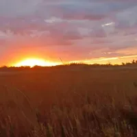 photo of fog, lake, vegetation