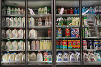 Dairy products, which are covered by the USDA Supplemental Nutrition Assistance Program (SNAP), is displayed for sale at a grocery store Friday, Oct. 31, 2025, in Nashville, Tenn. (AP Photo/George Walker IV)