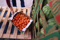 A volunteer reaches for a box of tomatoes during a food distribution at the San Antonio Food Ban for SNAP recipients and other households affected by the federal shutdown, Thursday, Nov. 6, 2025, in San Antonio. (AP Photo/Eric Gay)