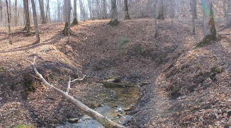 One of the many springs where ground water out flows to form the head waters of Wilson Creek. The current flow is lower than normal due to the extended drought.  The lack of snow cover and subsequent snow melt means much of the seasonal recharging of the water table will not occur.  Surface waters and shallow wells will have less water this summer.