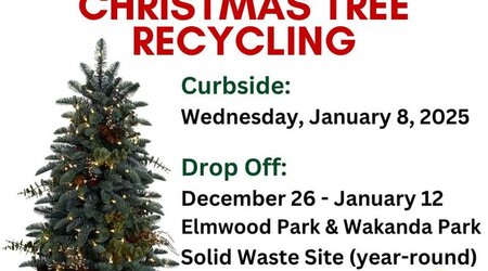 Tree Recycling Poster