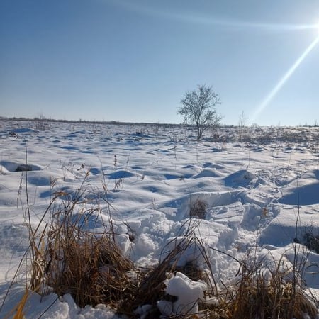 snow covered prairie with sun and blue sky