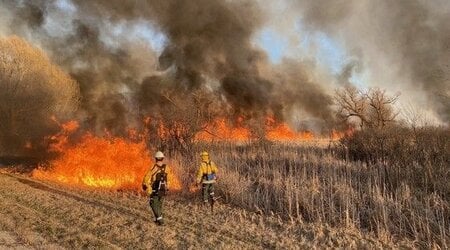 fire crews putting out wildfire