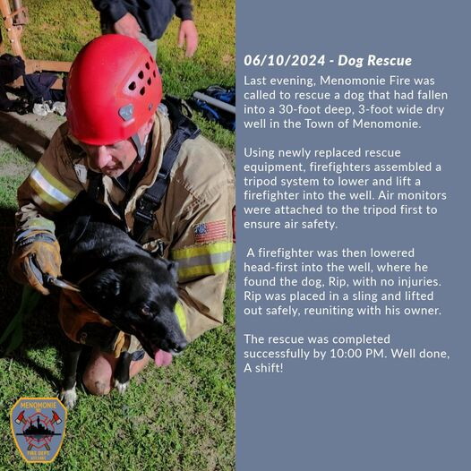 Dog Rescue