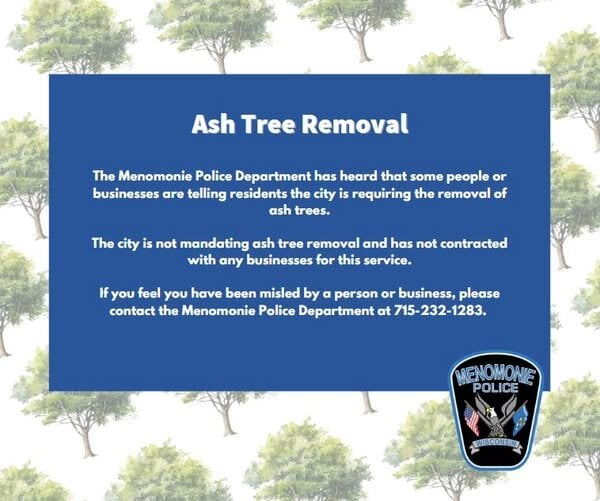 ash tree info graphic