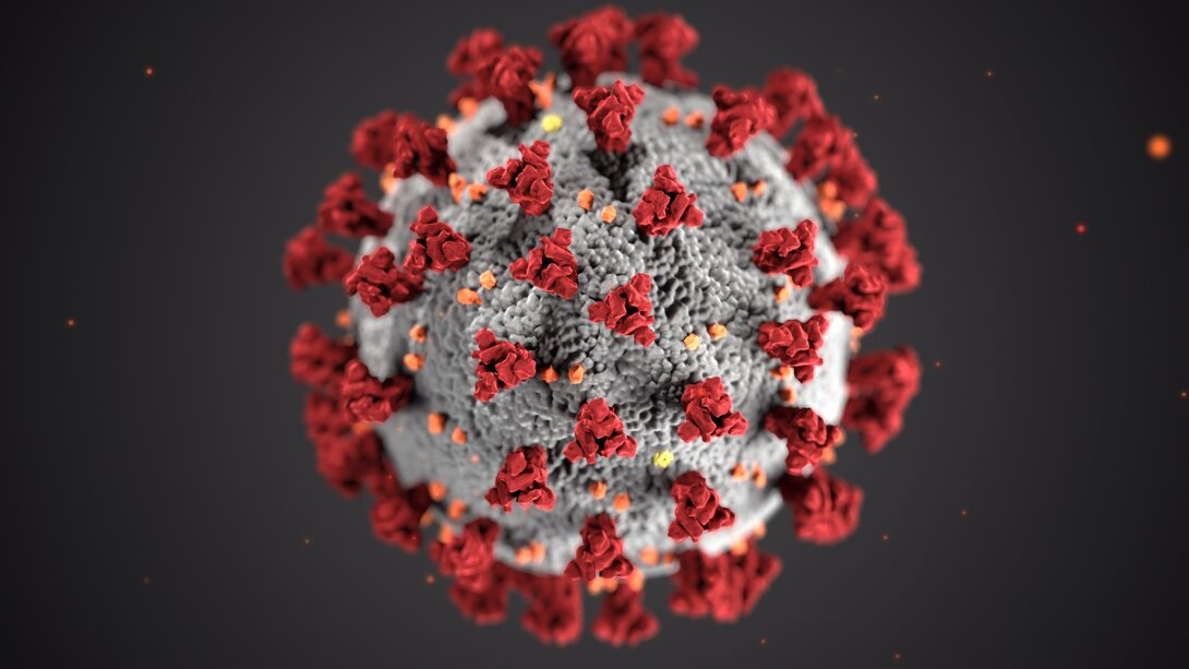 COVID virus