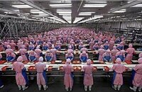 Foxconn Workers