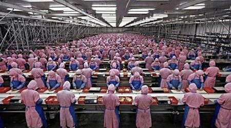 Foxconn Workers