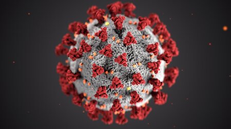 novel coronavirus