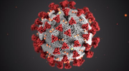 novel coronavirus