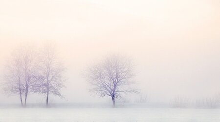 Winter Landscape