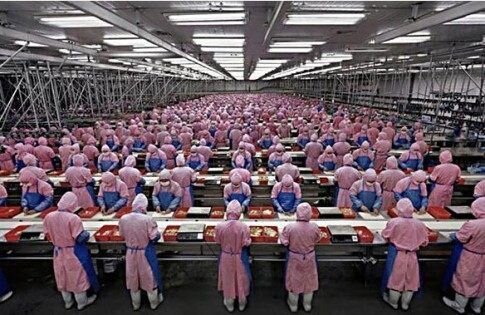 Foxconn Workers