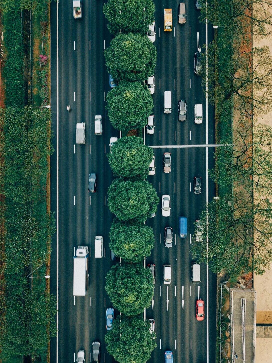 Cars on road