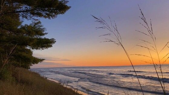 Kohler-Andrae State Park